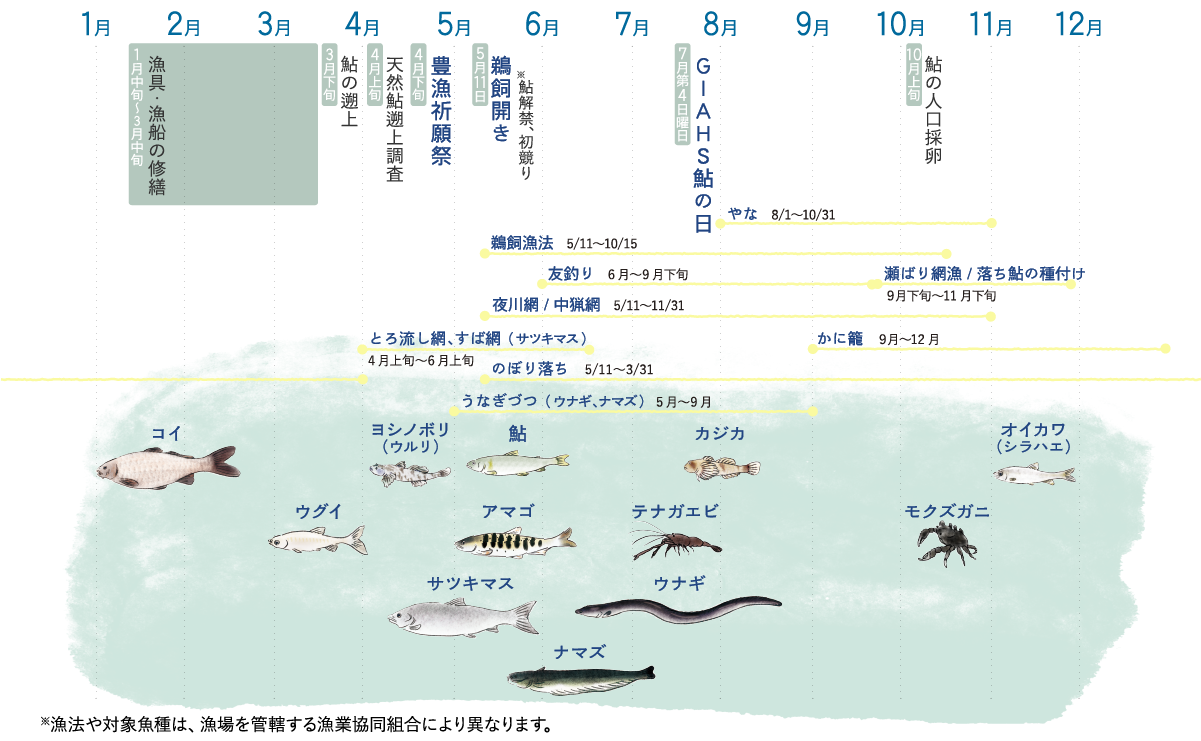 長良川で獲る魚と鮎カレンダー