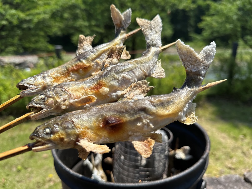 清流まるごと炭焼鮎